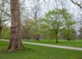 Persoon wandelt stevig over een pad in het park