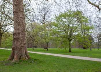 Persoon wandelt stevig over een pad in het park