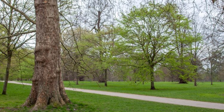 Persoon wandelt stevig over een pad in het park