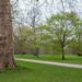 Persoon wandelt stevig over een pad in het park